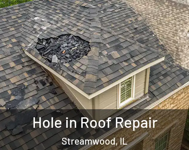  Hole in Roof Repair Streamwood, IL