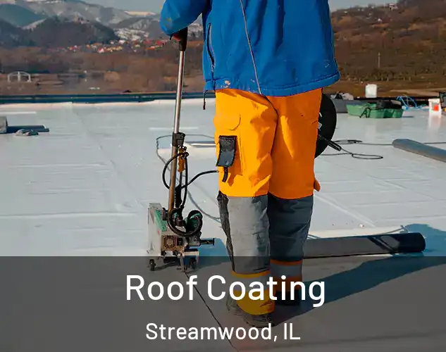  Roof Coating Streamwood, IL