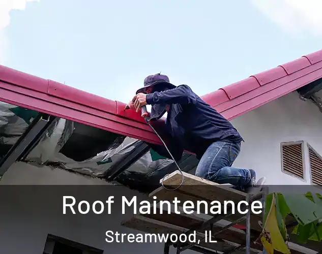  Roof Maintenance Streamwood, IL