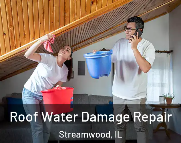  Roof Water Damage Repair Streamwood, IL