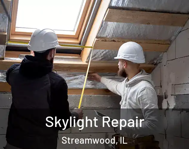  Skylight Repair Streamwood, IL