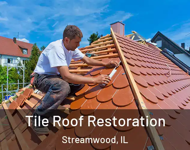  Tile Roof Restoration Streamwood, IL